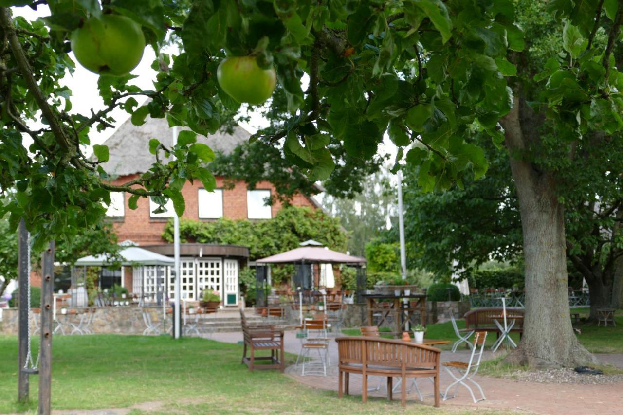 Landgasthof Kasch - Hotel Und Restaurant 马兰迪 外观 照片